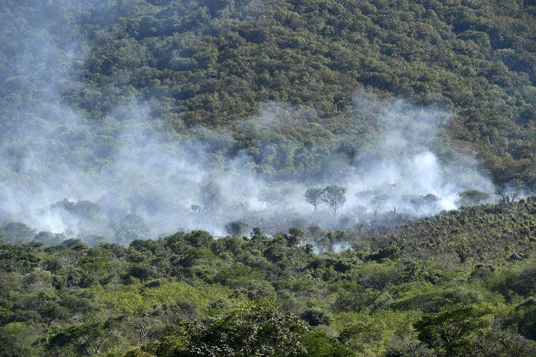 Smoke raises after a military helicopter was shot down in Villa Vieja community, Villa Purificacion, Jalisco State, Mexico on May 2, 2015