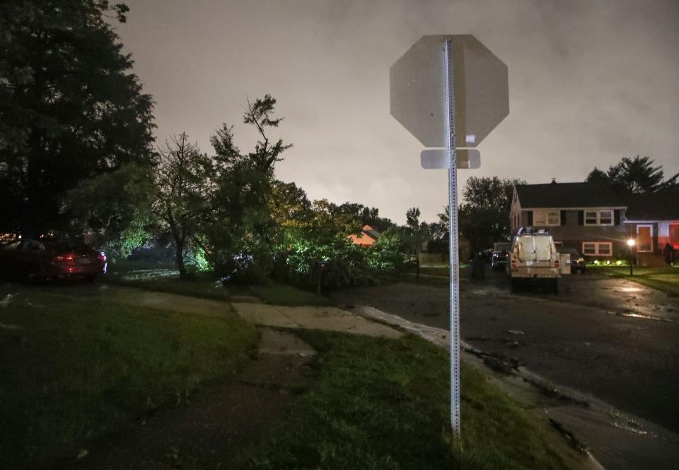 A tree, one of dozens of large branches or trees downed by a storm that included a tornado, rests on W. Robino Drive in Sherwood Park, Thursday evening, August 8, 2024.