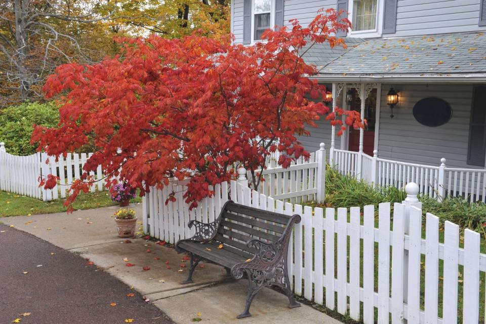 house in fall