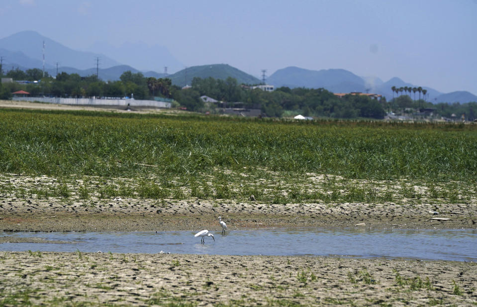 Dry, cracked land is visible in The Boca reservoir that supplies water to the northern city of Monterrey is almost dry as the northern part of Mexico is affected by an intense drought, in Santiago, Mexico, Saturday, July 9, 2022. Local authorities began restricting water supplies in March, as a combination of an intense drought, poor planning and high use has left the three dams that help supply the city dried up, with thousands of homes not receiving any water for weeks. (AP Photo/Fernando Llano)