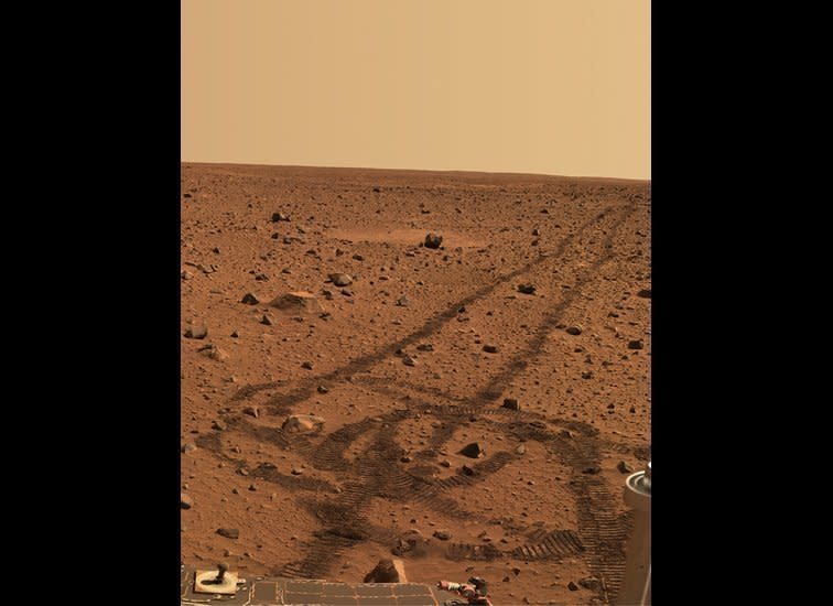 While driving over the reddish rocks and soils of Mars, the rover's wheels dig below the thin  dusty layer and reveal darker, brownish soils just below. The circular tracks are "pirouettes"  that the rovers occasionally do to align their radio antennas for best possible communications.    <em>Spirit rover, Pancam image, mission sol (martian day) 141 (May 26, 2004).  From "Postcards from Mars" by Jim Bell; Photo credit: NASA/JPL/Cornell University</em>