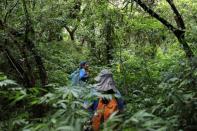 The Wider Image: Taiwan plant hunters race to collect rare species before they are gone