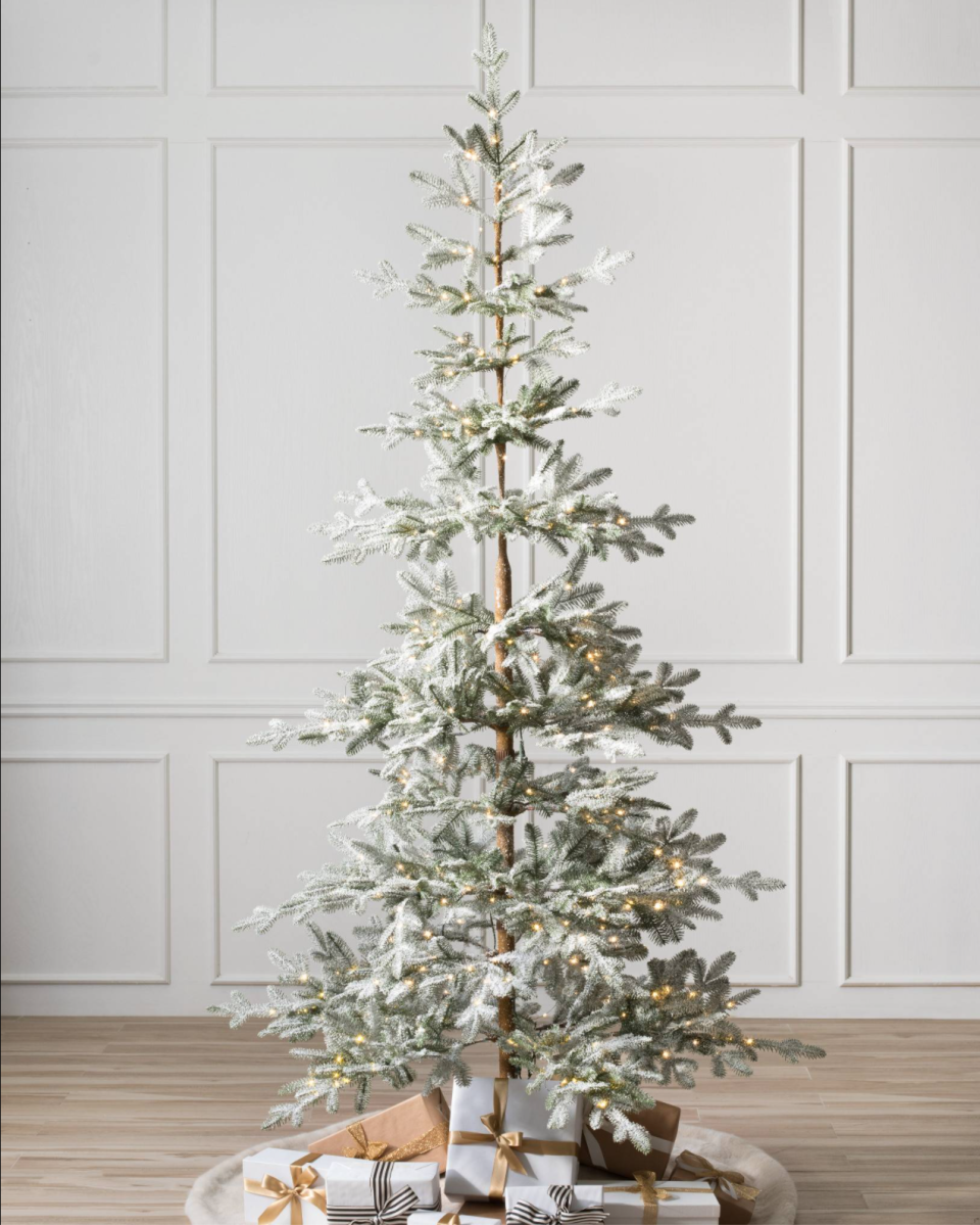 Frosted Alpine Balsam Fir Tree