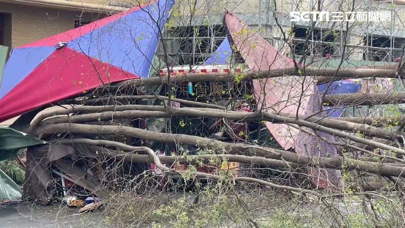 嘉義市文化路郵局前方發生路樹倒塌事件。（圖／翻攝畫面）