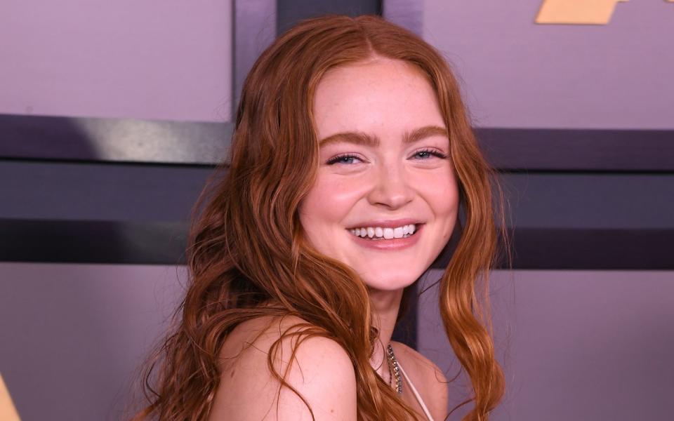 Während die "Stranger Things"-fans auf die fünfte Staffel warten, kann man Sadie Sink in Darren Aronofskys Film "The Whale" an der Seite von Brendan Fraser sehen. (Bild: 2022 Getty Images/Jon Kopaloff)