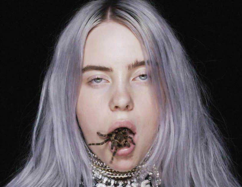 「怪奇少女」比莉艾莉許拍攝宣傳照時，曾將毛蜘蛛「含」進口中，大膽舉止讓人咋舌。（圖／環球音樂提供）