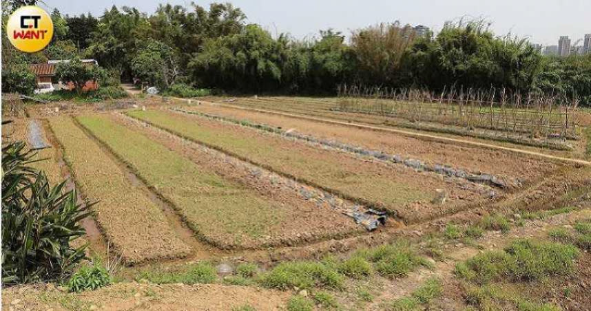 委會自去年起陸續針對桃竹苗、台中及嘉南等區域，分別實施農作停灌，如今稻田已成黃土一片。（圖／張文玠攝）