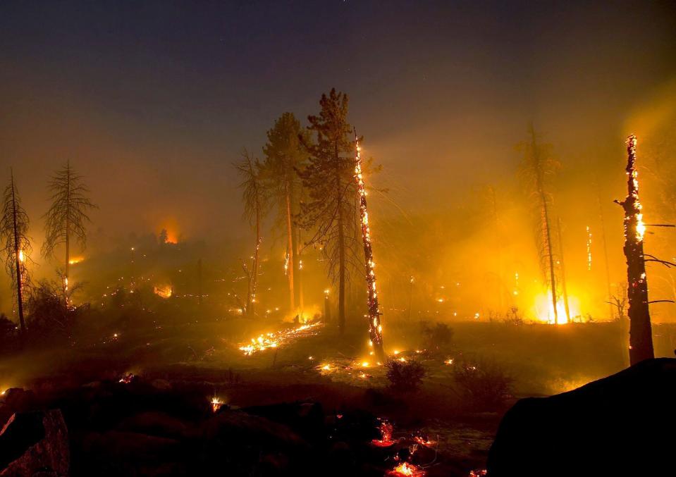 Pictures of the week: California wildfires