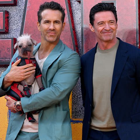 <p>JUSTIN TALLIS/AFP via Getty</p> Ryan Reynolds and Hugh Jackman