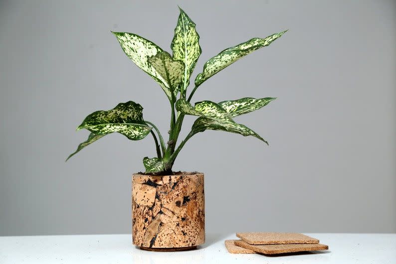 36) Cork Planter