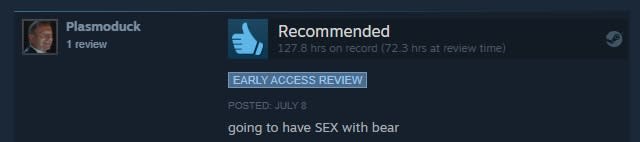 Positive Steam review of Baldur's Gate 3: 