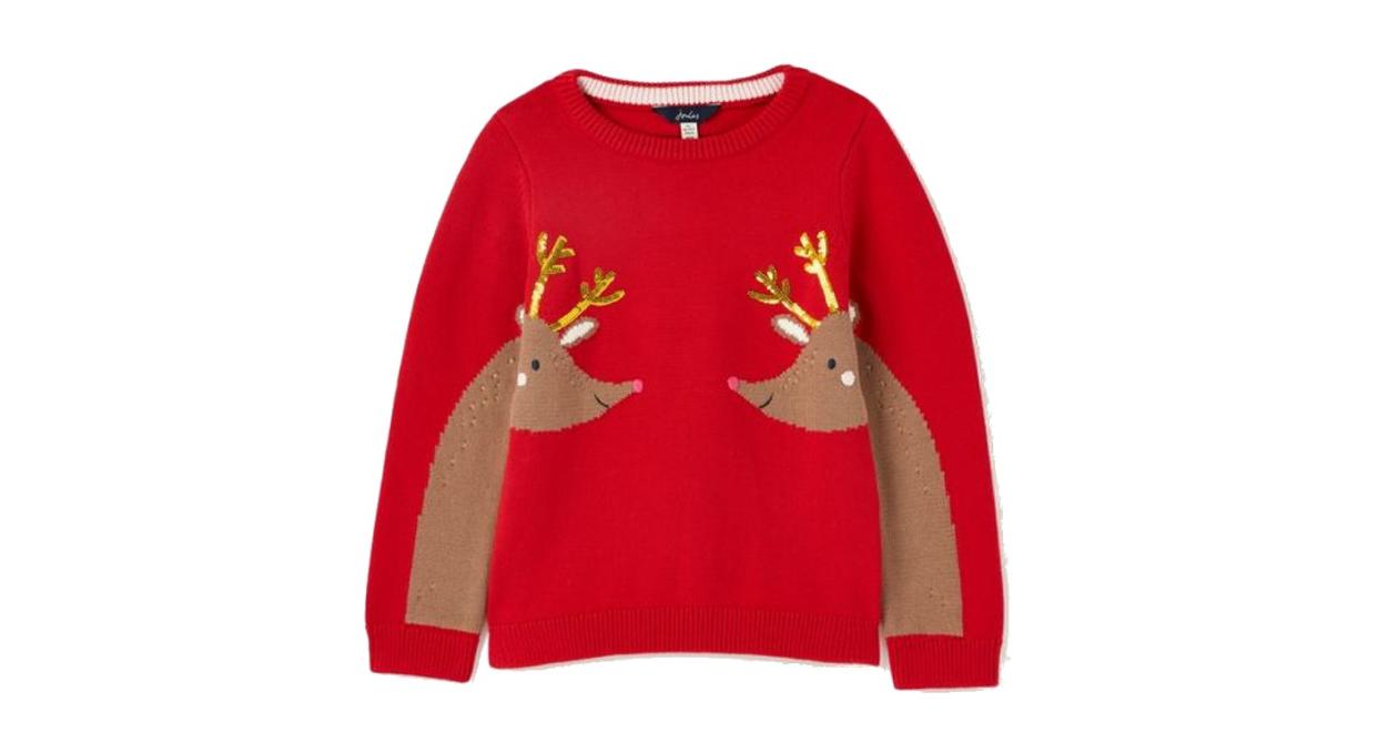 Geegee Novelty Knitted Jumper (Joules)
