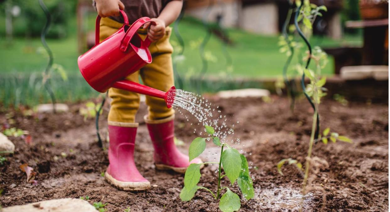 This top-rated premium compost is on sale. (Getty Images) 