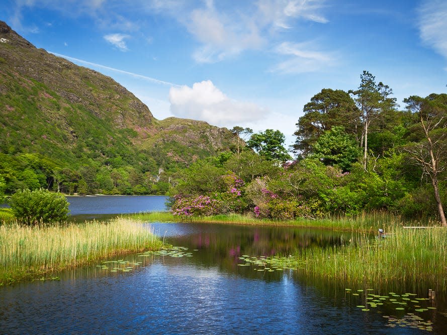 Connemara National Park.