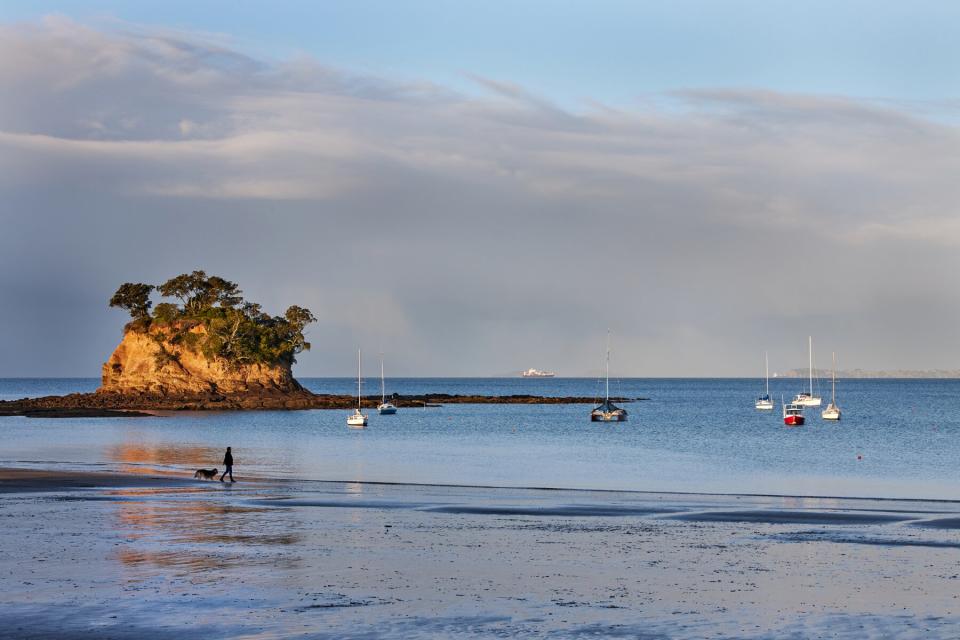 The Tor at Waiake beach in Torbay on Auckland's North Shore, with moored boats and dog walker, evening