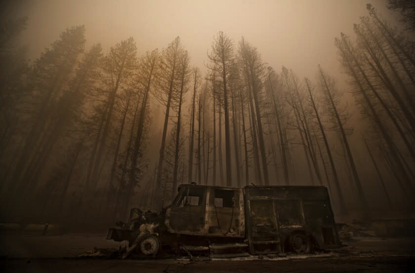 GREENVILLE, CA - AUGUST 07, 2021: Burned trees rise above a truck destroyed by the Dixie Fire in the town of Greenville. (Mel Melcon / Los Angeles Times)