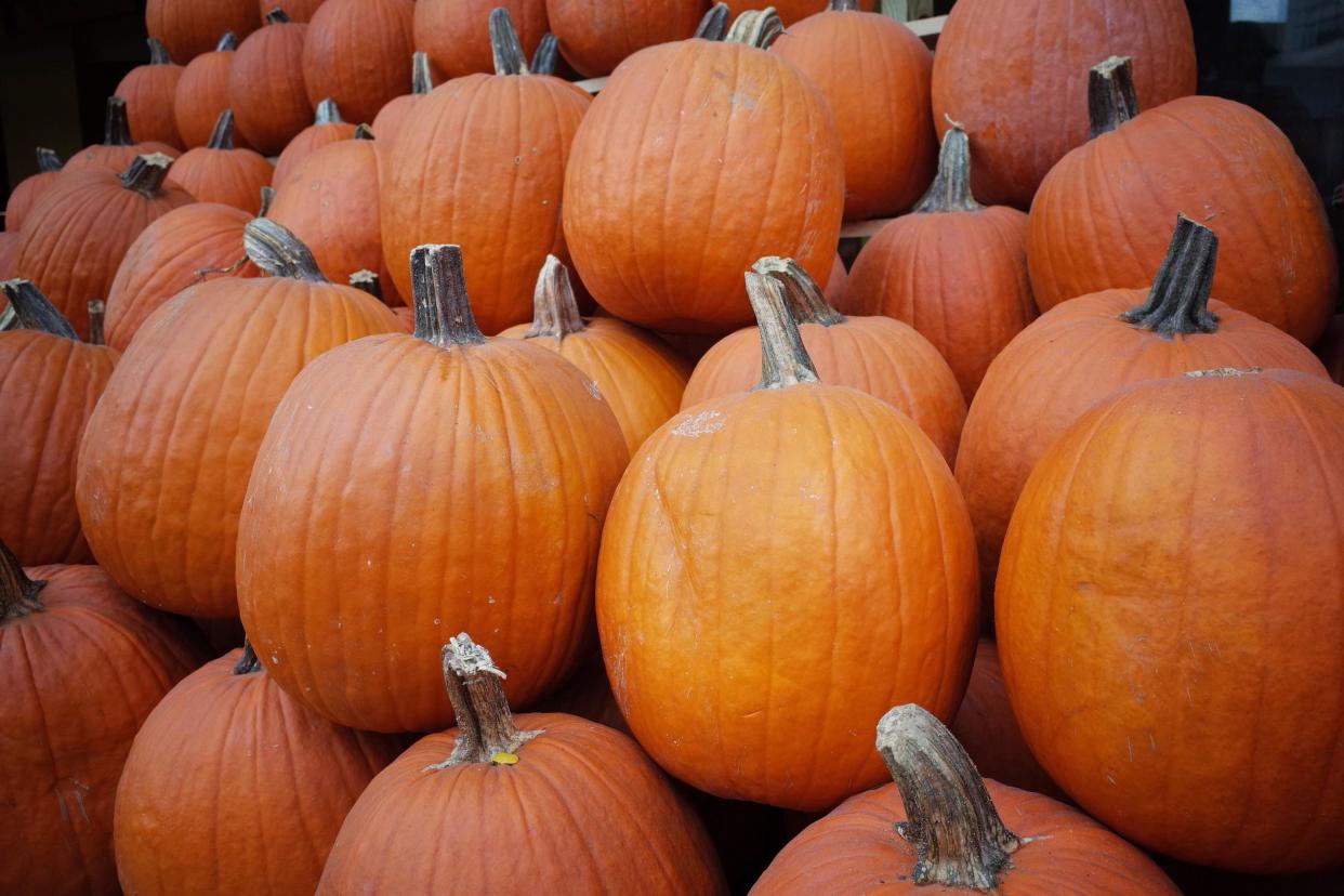 Pumpkins: not just for halloween: Getty