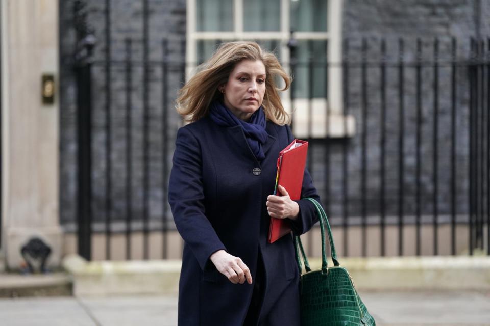 Commons leader Penny Mordaunt warned Navy risks falling behind (PA Archive)