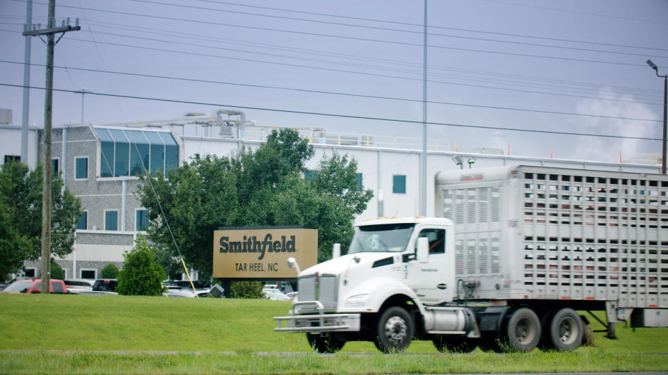 Smithfield's hog processing factory in Tar Heel, N.C.