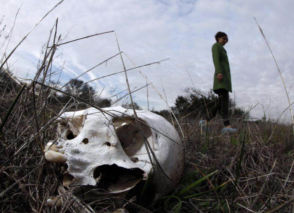 Kate Spradley, an assistant professor at Texas State University, looks over the skeletal remains of Patty Robinson at the school's “body farm,” officially the Forensic Anthropology Research Facility, Thursday, Feb. 9, 2012, in San Marcos, Texas. Robinson donated her body for research at the school. What they're finding at the research facility debunks some of what they and other experts believed about estimating time of death for a person whose remains are found outdoors and exposed to the environment. (AP Photo/David J. Phillip)