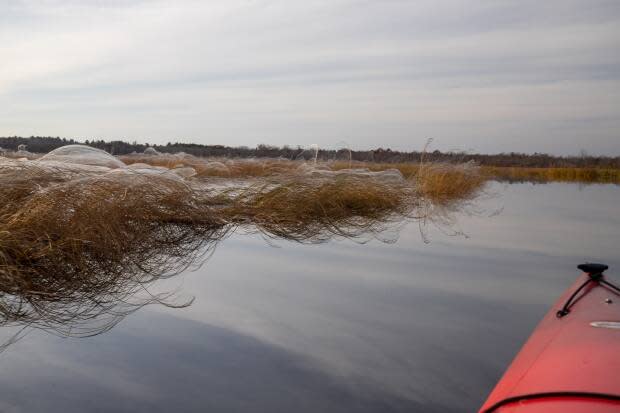 James Donald/Paddling NB