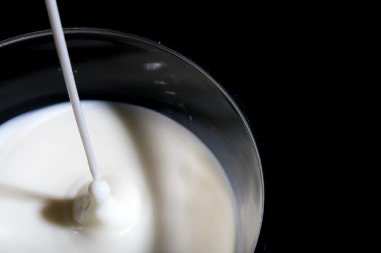 Fettarme Milch von Rewe kann unter Umständen mit Reinigungsmitteln belastet sein (Symbolbild: dpa)