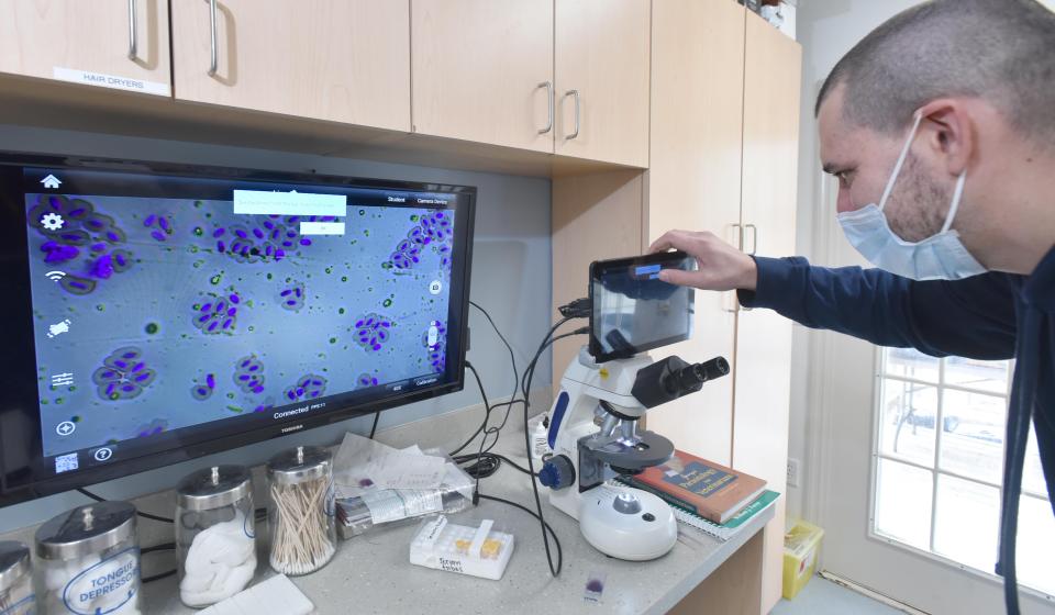 Birdsey Cape Wildlife Center Executive Director Zak Mertz focuses a microscope slide of a blood sample from a red-tailed hawk that died at the center in February, showing a lack of clotting cells, likely due to ingesting rodenticide. Steve Heaslip/Cape Cod Times