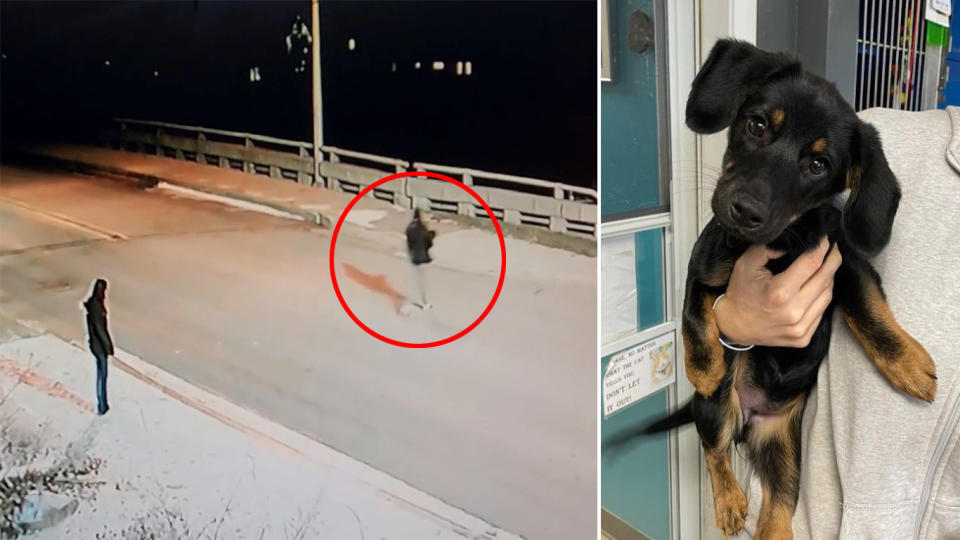 CCTV images show a teenager holding a puppy as he walks over to a bridge railing.