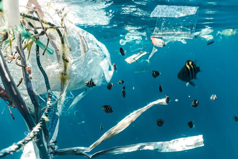 Se estima que hay 3,4 millones de toneladas de plásticos flotando en los océanos, pero tiene que haber muchísimas más en el fondo o ingerido por animales marinos