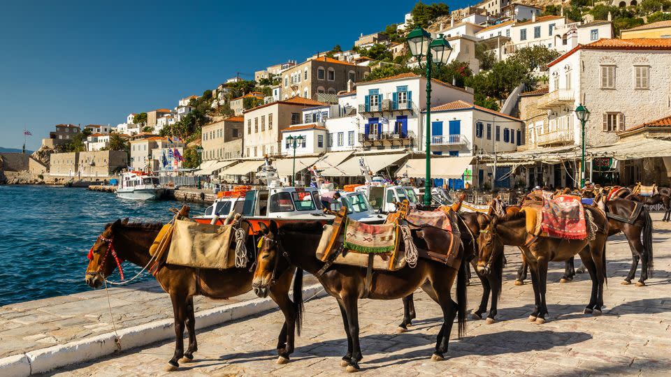 Donkeys are a common form of transport on Hydra. - Anton Petrus/Moment RF/Getty Images