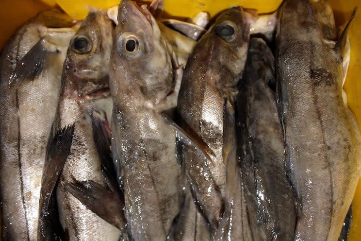 Haddock could soon be off then menu after it was downgraded by the Marine Conservation Society