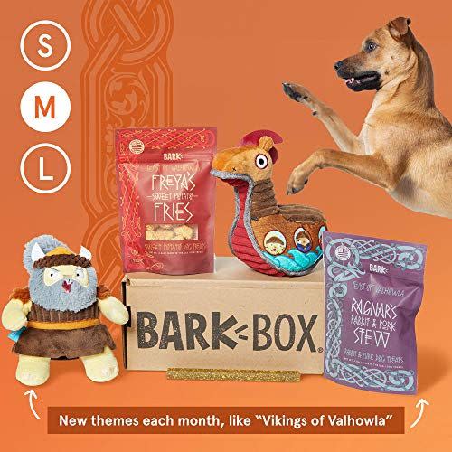 36) BarkBox Subscription
