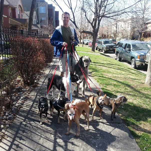 Steve rescata perros muy ancianos y les da un hogar para siempre