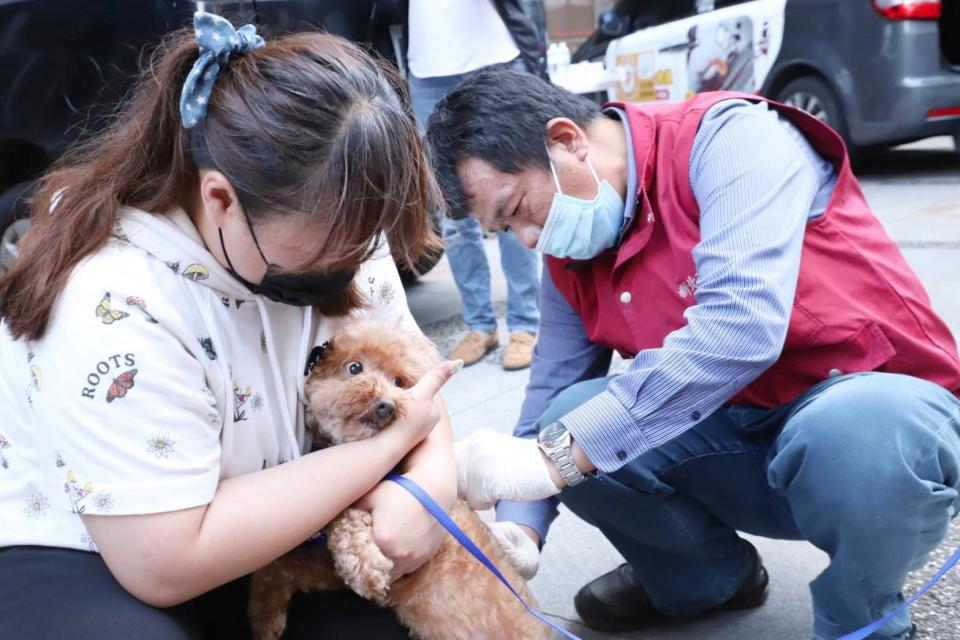 新北市政府動保處獸醫協助民眾為毛寶貝施打狂犬病疫苗。（新北市社會局提供）