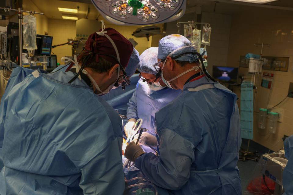 The surgical transplant team at Mass General Hospital transplants a pig kidney into a human patient on March 16
