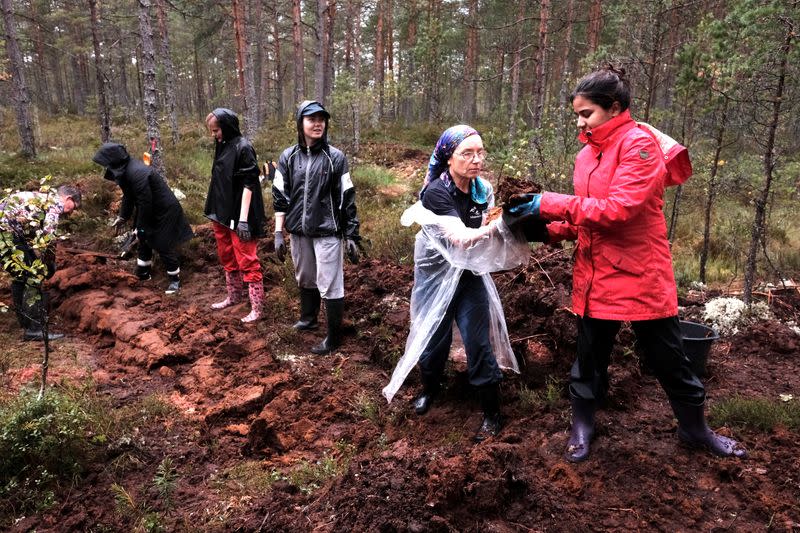 Volunteers build a dam to restore bog near Palmse