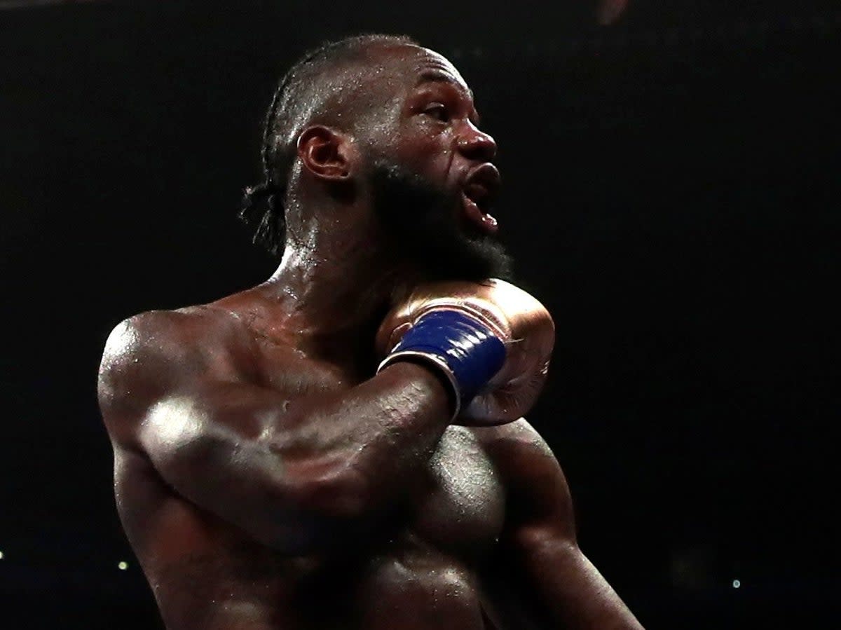 Deontay Wilder faces Robert Helenius in Brooklyn this Saturday  (Action Images via Reuters)