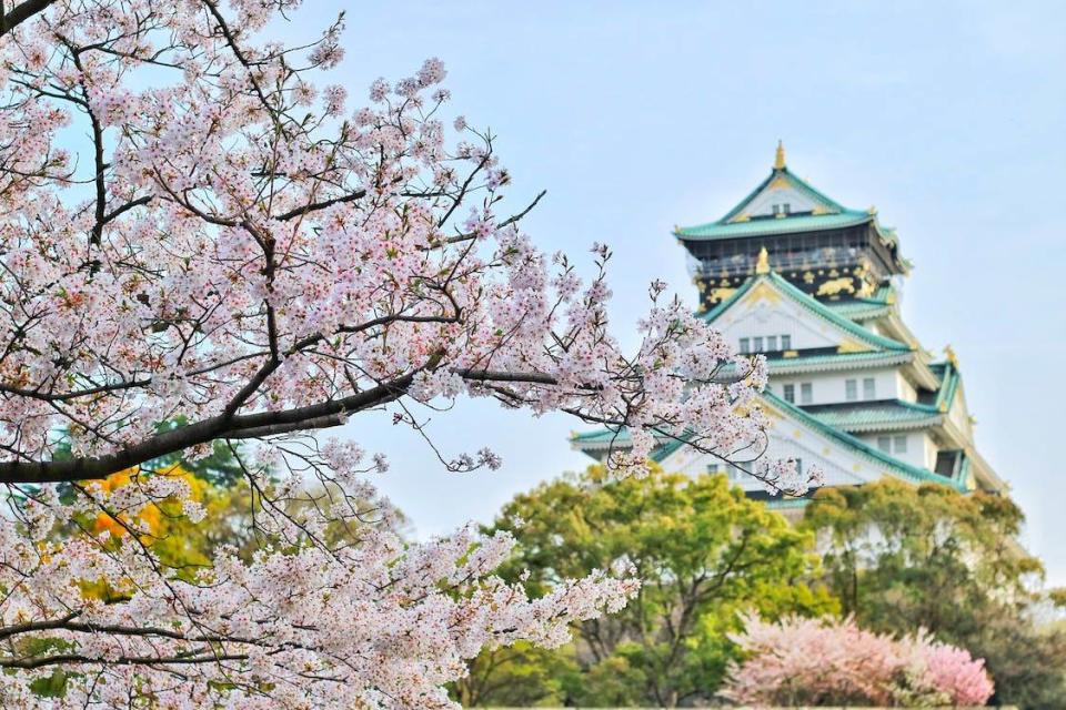 日本是一個結合傳統和現代的國家，擁有富有歷史的京都、現代繁華的東京等城市。圖片來源：pexels