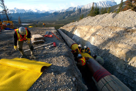 Workers construct the Anchor Loop section of Kinder Morgan's Trans Mountain pipeline expansion in Jasper National Park in a 2009 file photo. Kinder Morgan Canada/Handout via REUTERS