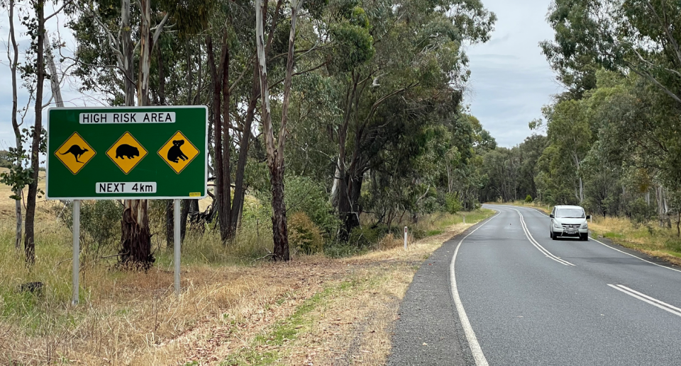 A road sign south of Albury warning about kangaroos, wombats and koalas