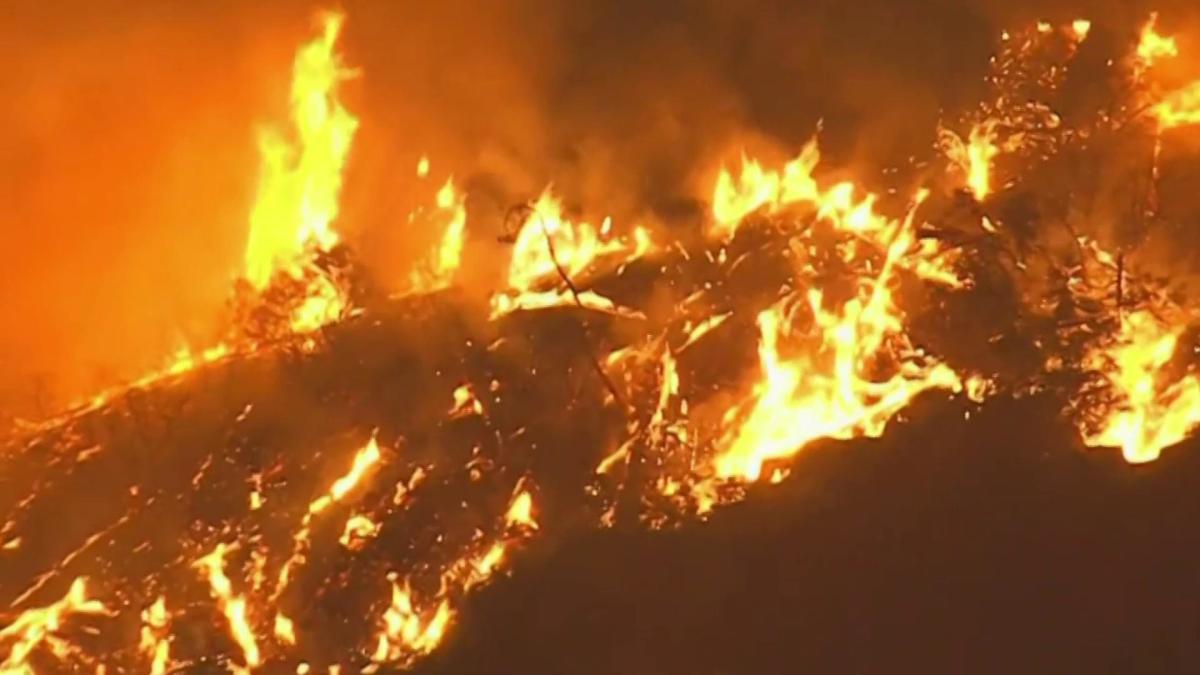 Officials Gender Reveal Pyrotechnic Sparked California Wildfire