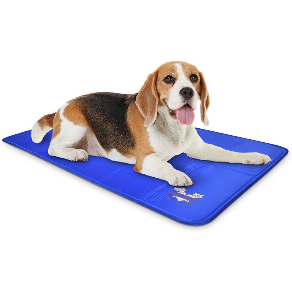 pet pad