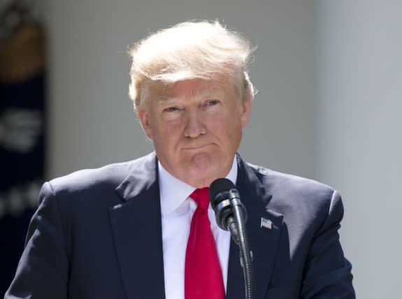 President Donald J. Trump makes a statement regarding the Paris Climate Agreement.