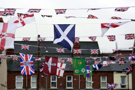 The national flag of Scotland (C) flies amongst other flags in a street in East Belfast July 5, 2014. REUTERS/Cathal McNaughton
