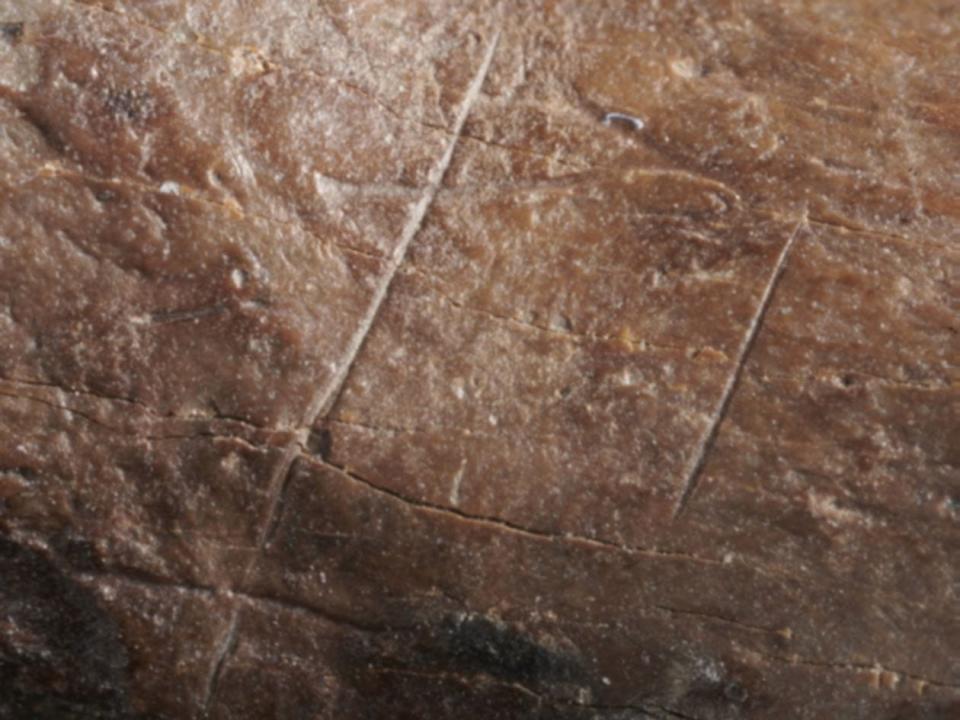 A photo shows two perpendicular cuts on the bear phalange found in the site near Schöningen, Germany