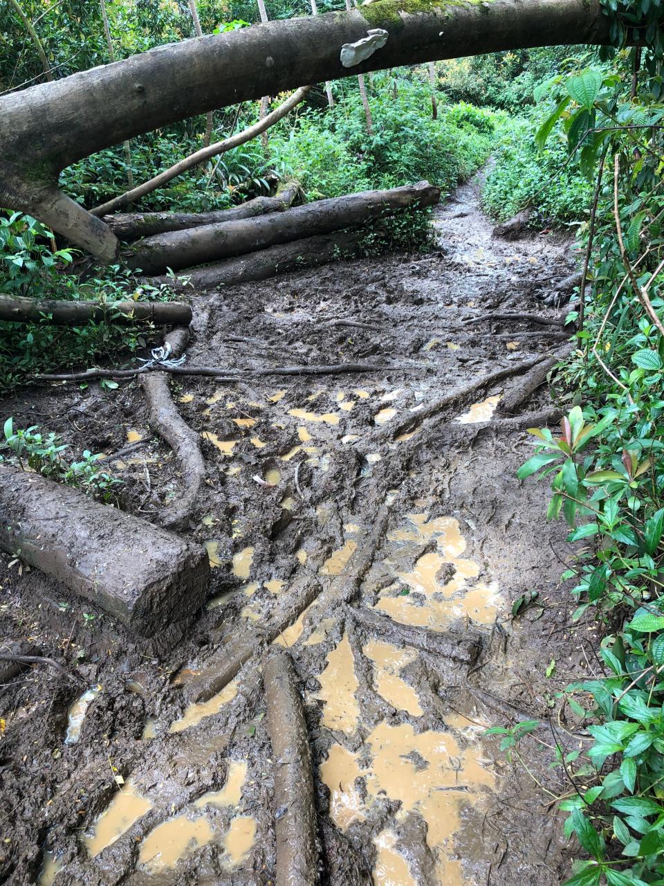 A muddy trail is pictured on the Hawaiian island of Kauai on May 19, 2022