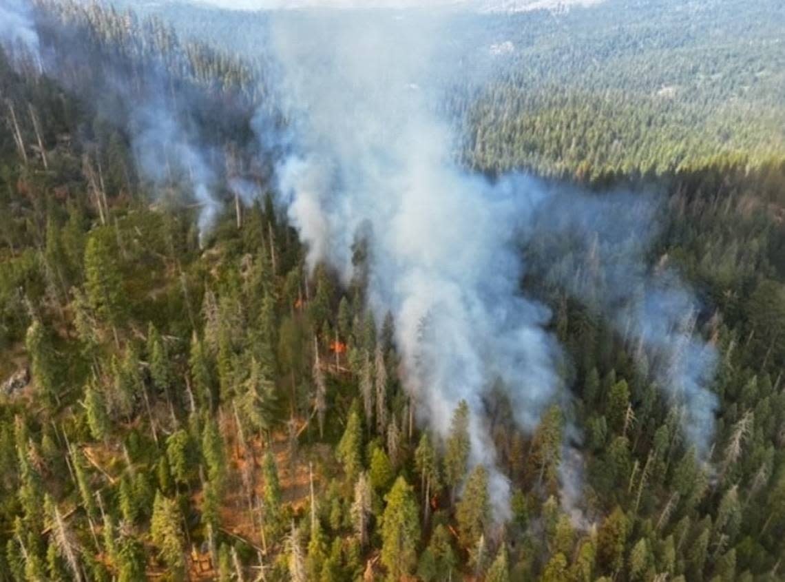 The Washburn Fire near the Mariposa Grove of giant sequoia trees in Yosemite National Park burns on Friday, July 8, 2022.