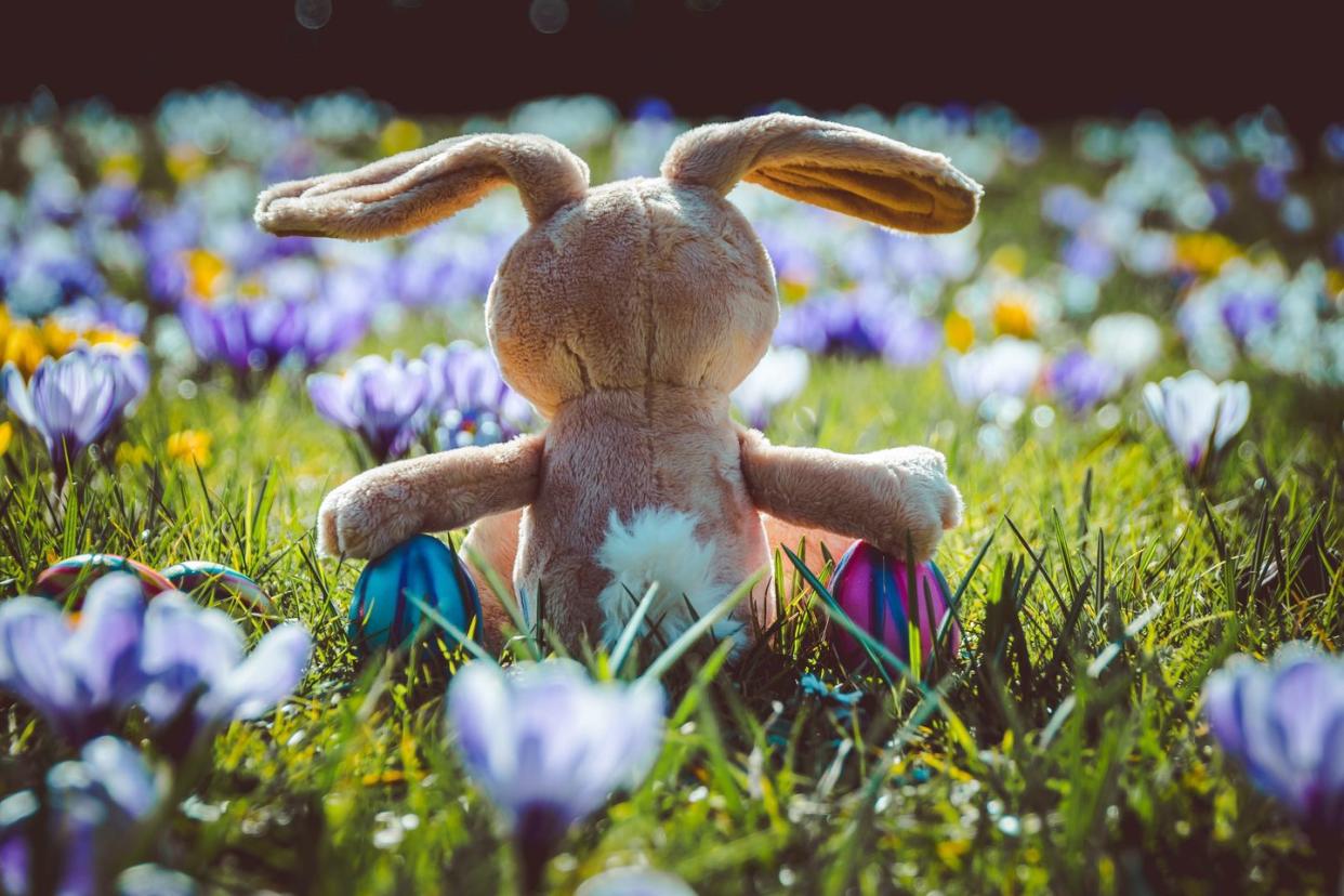 Here's what to know about the Easter bunny's origin story and history