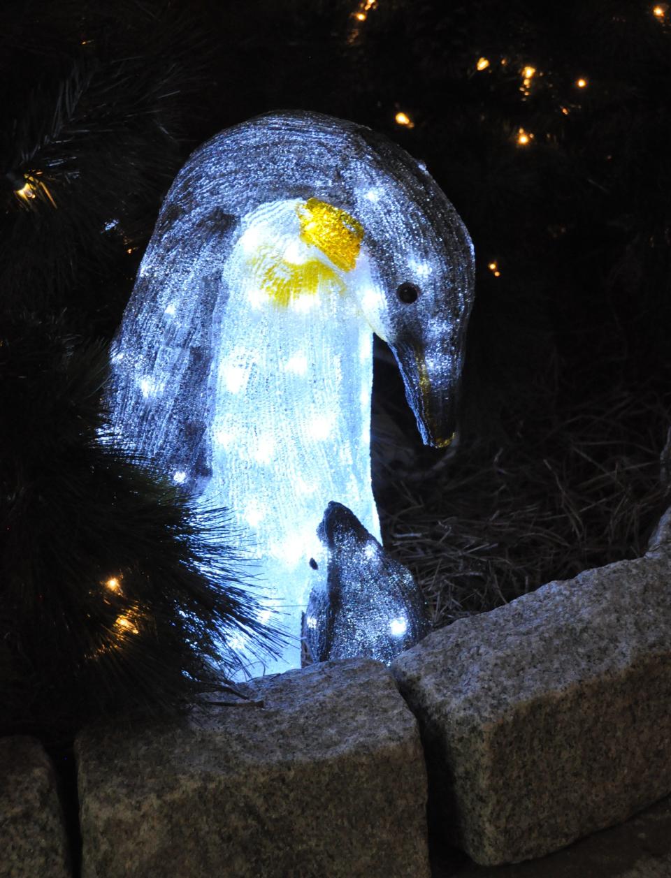 One of the new favorites in holiday decorations at Homestead Gardens in Smyrna are celestial lights figures by Season’s Designs that are two to three feet tall and lighted from the inside, so the whole figure glows, like this adult penguin looking down at a baby penguin.