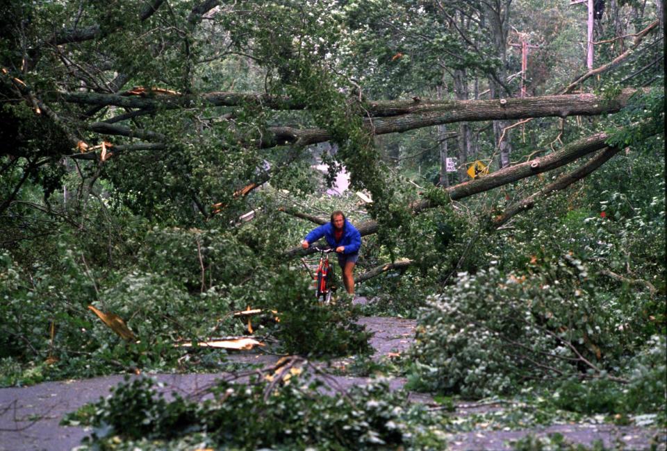 Cyclist Hugh Popenoe negotiates fallen trees on Woods Hole Road in Falmouth in the aftermath of Hurricane Bob in August of 1991.